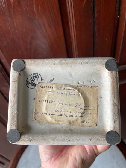 รูปปั้น กระเบื้อง PHRENOLOGY สะสม รูปที่ 13