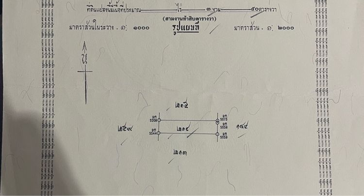 ขายหรือให้เช่าที่ดิน3แปลงซอยมิตรไมตรี24 สนใจสอบถามได้ครับ รูปที่ 2