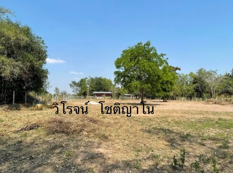 ที่ดินสวน รูปที่ 2