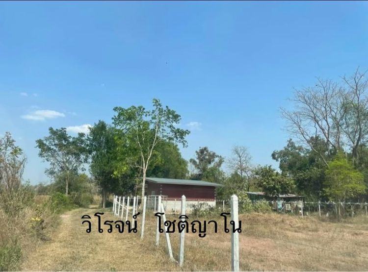 ที่ดินสวน รูปที่ 3