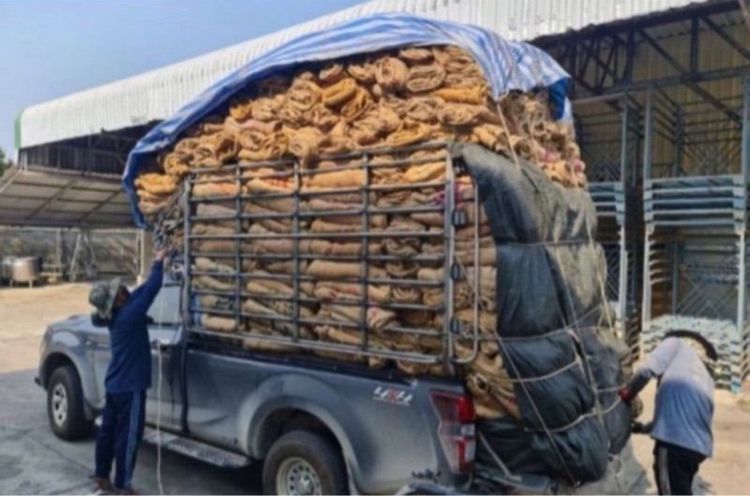 สอบป่านมือสอง รูปที่ 7