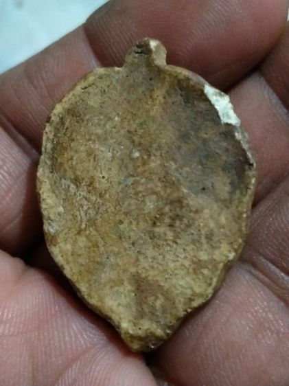 พระโพธิจักรหลวงพ่อลีวัดอโศการามเนื้อผงเกสรพิมพ์ใหญ่หลังเรียบปี 2500 รูปที่ 4