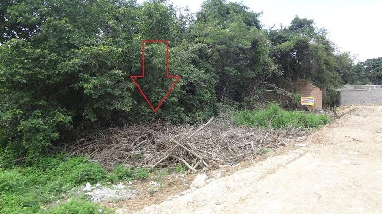 ใช่ 💖 ทาวน์เฮ้าส์ เมืองลำปาง ราคาพิเศษ! 💖