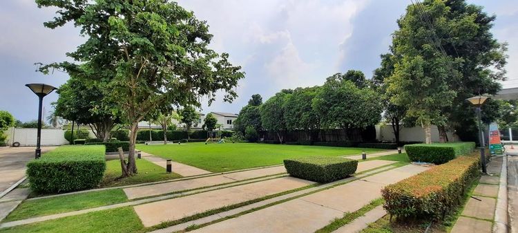 ใช่ 💖 ทาวน์เฮ้าส์ ไทรน้อย ราคาพิเศษ! 💖 รูปที่ 4