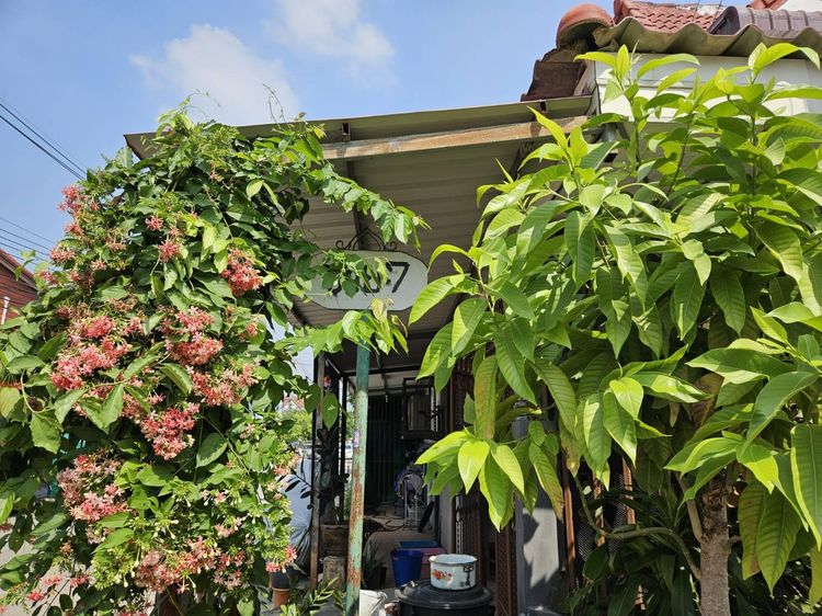 ใช่ 💖 ทาวน์เฮ้าส์ บางบัวทอง ราคาพิเศษ! 💖 รูปที่ 4