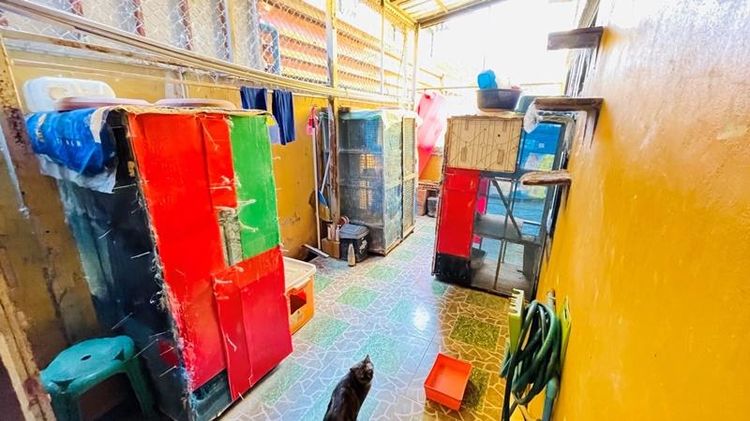 ใช่ 💖 ทาวน์เฮ้าส์ วังน้อย ราคาพิเศษ! 💖 รูปที่ 3