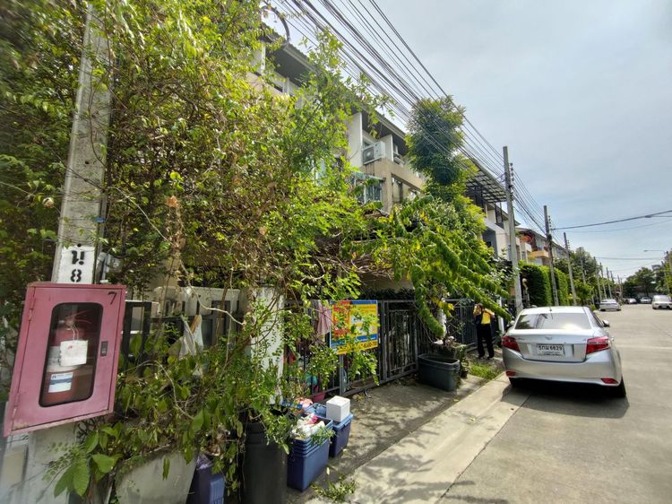 ใช่ 💖 ทาวน์เฮ้าส์ ปากเกร็ด ราคาพิเศษ! 💖 รูปที่ 2