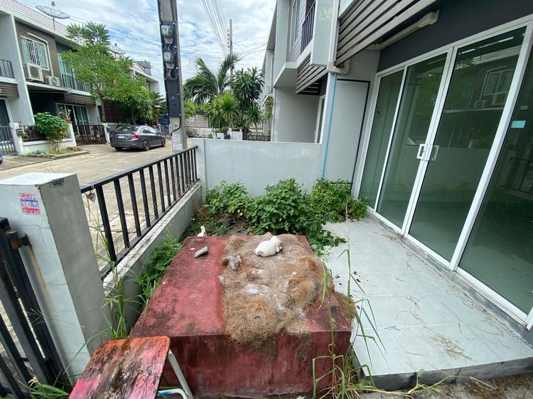 ใช่ 💖 ทาวน์เฮ้าส์ บางพลี ราคาพิเศษ! 💖 รูปที่ 4