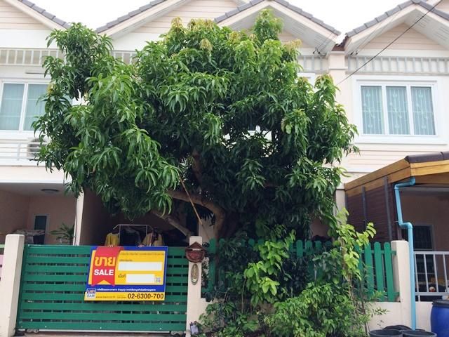 ใช่ 💖 ทาวน์เฮ้าส์ พระสมุทรเจดีย์ ราคาพิเศษ! 💖