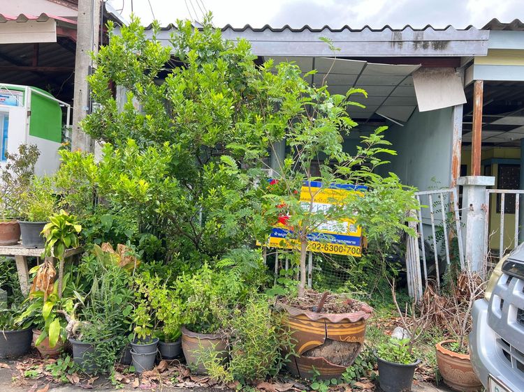 💖 ทาวน์เฮ้าส์ หนองจอก ราคาพิเศษ! 💖