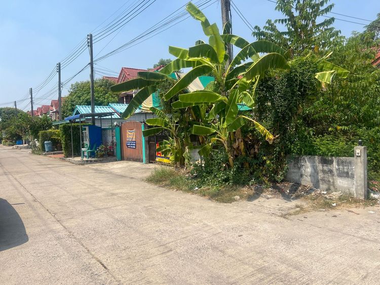 💟 โครงการบ้านสวนแสนสุข องครักษ์ 💟 รูปที่ 3