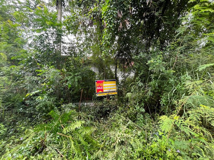 💖 ทาวน์เฮ้าส์ ขามทะเลสอ ราคาพิเศษ! 💖