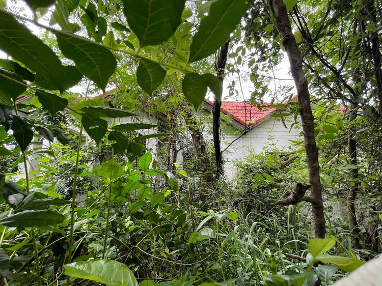 ใช่ 💖 ทาวน์เฮ้าส์ ขามทะเลสอ ราคาพิเศษ! 💖 รูปที่ 4