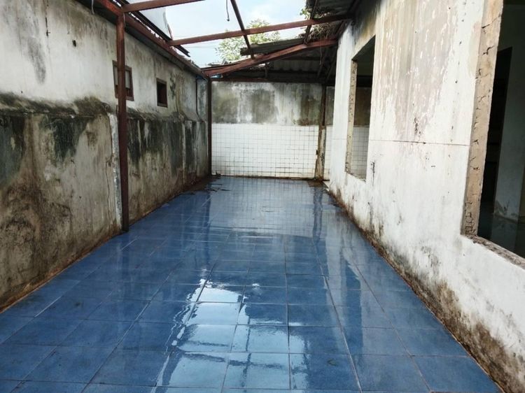 ใช่ 💖 ทาวน์เฮ้าส์ ธัญบุรี ราคาพิเศษ! 💖 รูปที่ 3