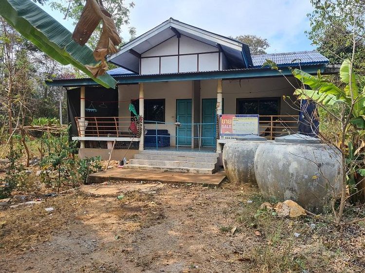 ใช่ 💖 บ้าน ปากช่อง ราคาพิเศษ! 💖 รูปที่ 3