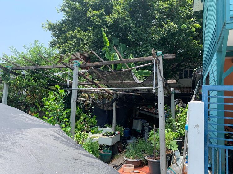 ใช่ 💖 บ้าน เมืองสมุทรปราการ ราคาพิเศษ! 💖 รูปที่ 2