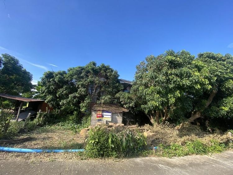 ใช่ 💖 บ้าน ป่าซาง ราคาพิเศษ! 💖 รูปที่ 2