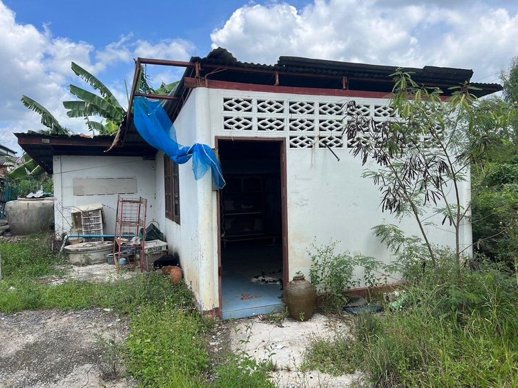 āđāļāđ ð āļāđāļēāļ āļāļąāļĒāļāļēāļāļēāļĨ āļĢāļēāļāļēāļāļīāđāļĻāļĐ! ð āļĢāļđāļāļāļĩāđ 3