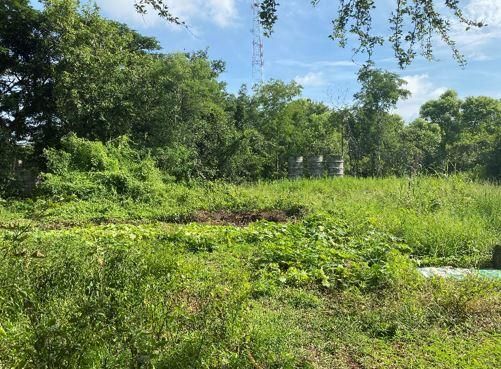 ใช่ 💖 บ้าน เสาไห้ ราคาพิเศษ! 💖 รูปที่ 3