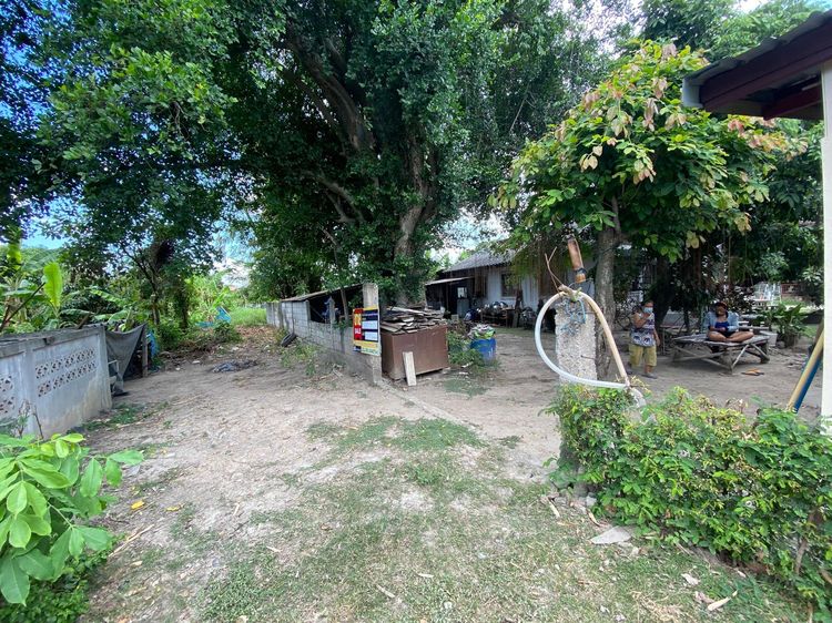 💖 บ้าน สันป่าตอง ราคาพิเศษ! 💖