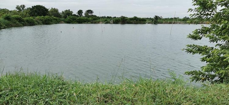 ใช่ 💖 บ้าน บางคล้า ราคาพิเศษ! 💖 รูปที่ 4