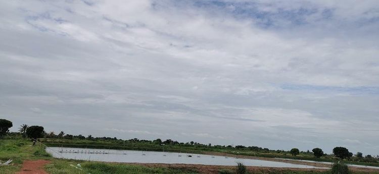 ใช่ 💖 บ้าน บางคล้า ราคาพิเศษ! 💖 รูปที่ 2