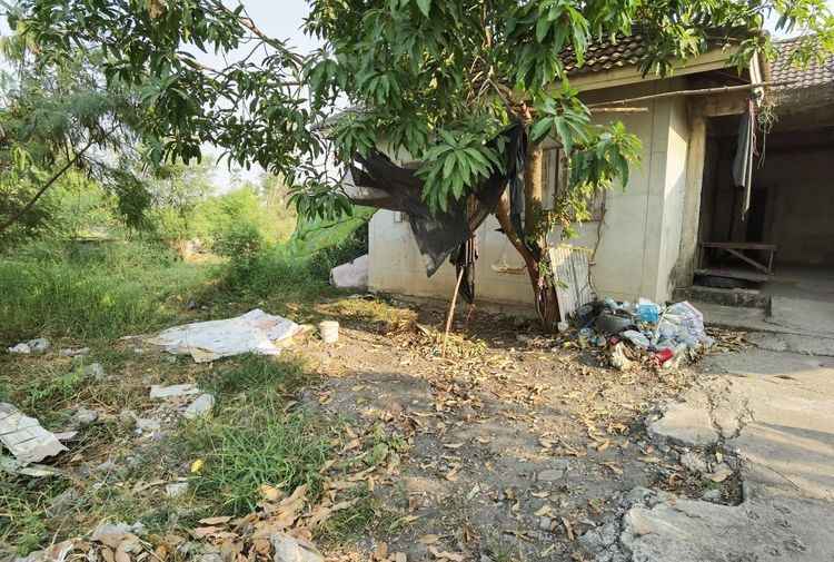 ใช่ 💖 บ้าน บางปะอิน ราคาพิเศษ! 💖 รูปที่ 4