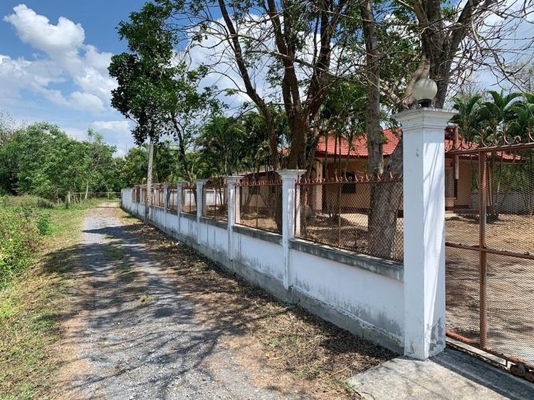 💖 บ้าน สันกำแพง ราคาพิเศษ! 💖