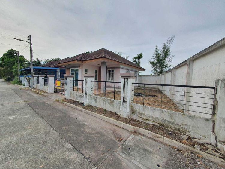 ใช่ 💖 บ้าน พานทอง ราคาพิเศษ! 💖 รูปที่ 3