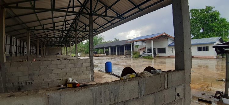 ใช่ 💖 บ้าน เวียงแก่น ราคาพิเศษ! 💖 รูปที่ 2