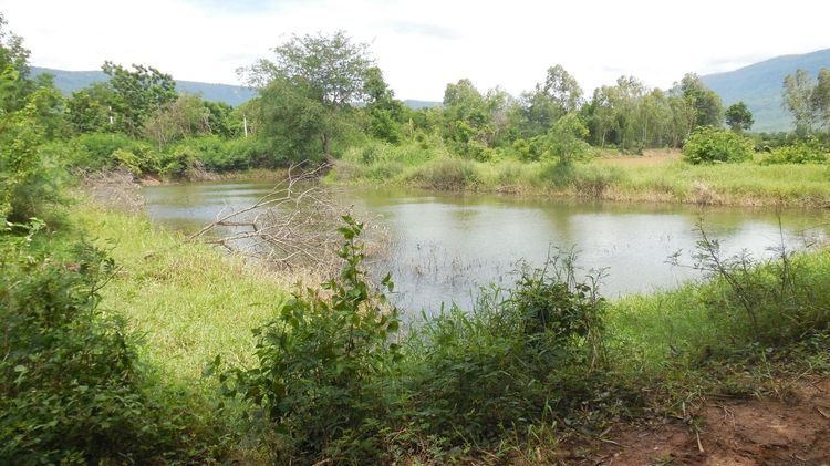 ใช่ 💖 บ้าน เกษตรสมบูรณ์ ราคาพิเศษ! 💖 รูปที่ 3