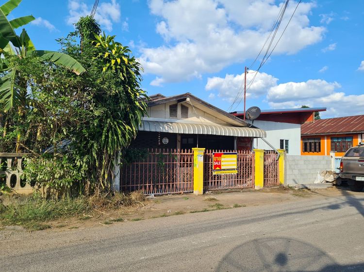 ใช่ 💖 บ้าน เมืองเลย ราคาพิเศษ! 💖 รูปที่ 3