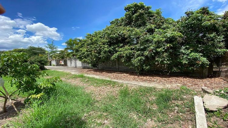 ใช่ 💖 บ้าน เมืองลำพูน ราคาพิเศษ! 💖 รูปที่ 2