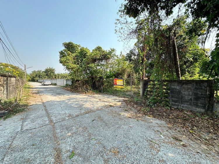 ใช่ 💖 บ้าน เมืองนครนายก ราคาพิเศษ! 💖 รูปที่ 2