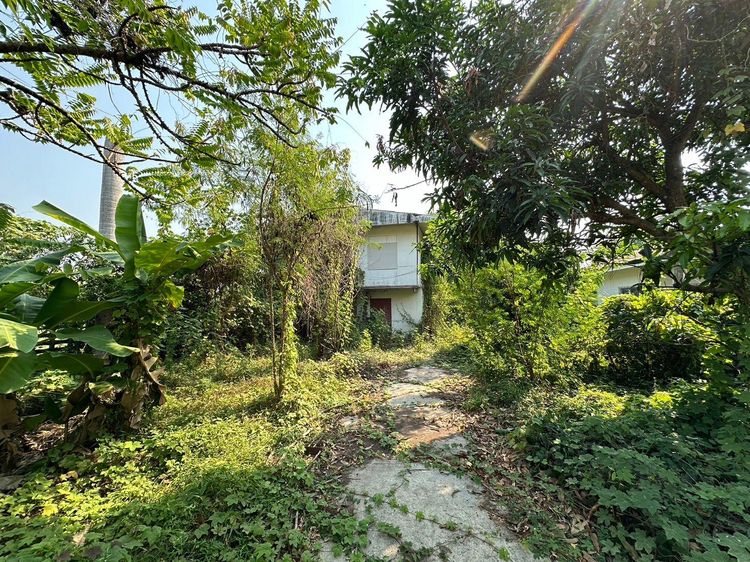 ใช่ 💖 บ้าน เมืองนครนายก ราคาพิเศษ! 💖 รูปที่ 4