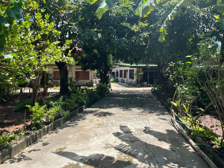 ใช่ 💖 บ้าน ปักธงชัย ราคาพิเศษ! 💖 รูปที่ 2