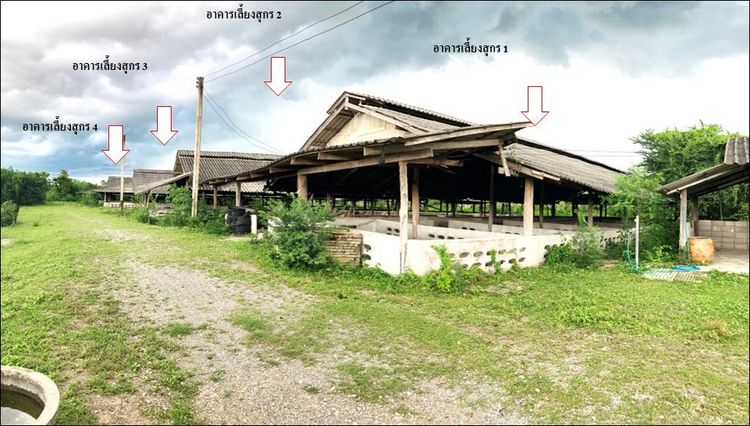 ใช่ 💖 บ้าน เมืองเพชรบุรี ราคาพิเศษ! 💖 รูปที่ 4