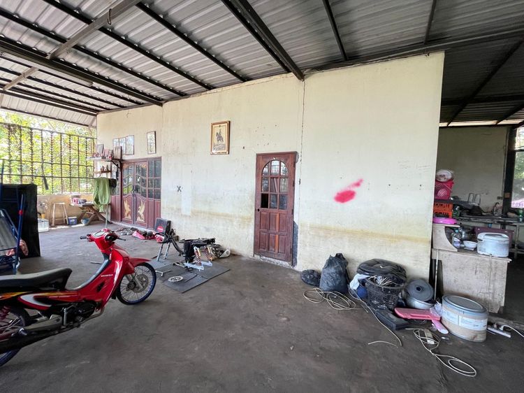 ð āļāđāļēāļ āļ§āļąāļāļāđāļāļĒ āļĢāļēāļāļēāļāļīāđāļĻāļĐ! ð āļĢāļđāļāļāļĩāđ 3