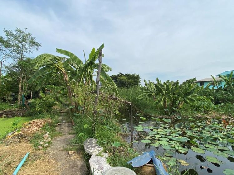 ใช่ 💖 บ้าน ลาดกระบัง ราคาพิเศษ! 💖 รูปที่ 3