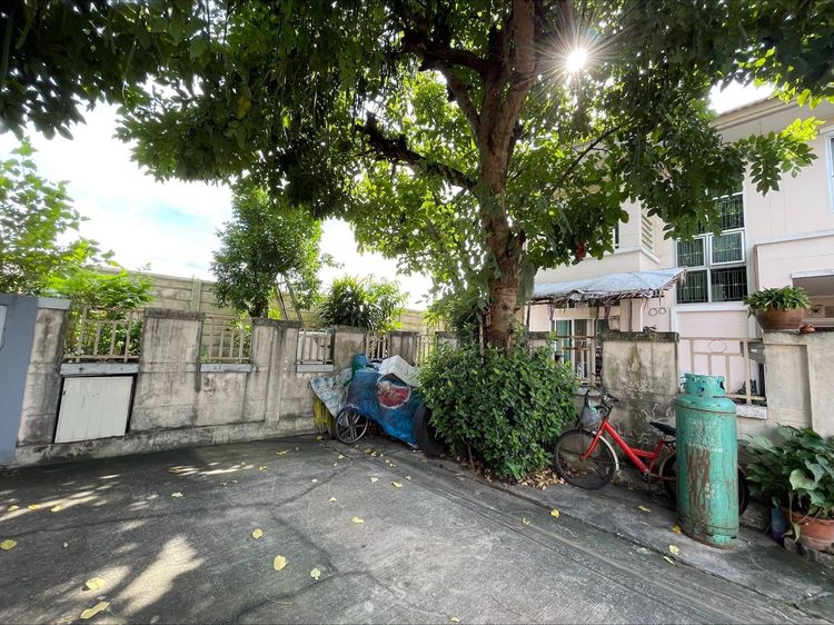 ð āļāđāļēāļ āļĄāļĩāļāļāļļāļĢāļĩ āļĢāļēāļāļēāļāļīāđāļĻāļĐ! ð āļĢāļđāļāļāļĩāđ 3