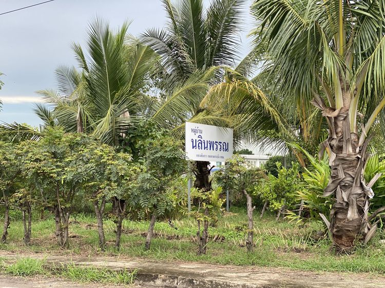 ð āļāđāļēāļ āļĨāļēāļāļāļĢāļ°āļāļąāļ āļĢāļēāļāļēāļāļīāđāļĻāļĐ! ð āļĢāļđāļāļāļĩāđ 2