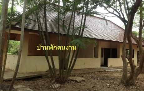 💟 เคียงดาว วัลเลย์ 💟 รูปที่ 3