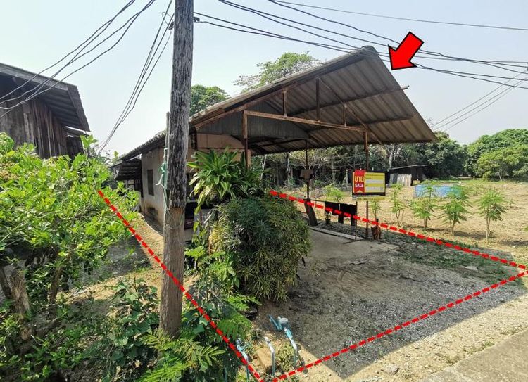 ใช่ 💖 บ้าน สารภี ราคาพิเศษ! 💖 รูปที่ 2