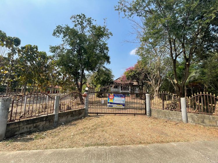 💖 บ้าน สารภี ราคาพิเศษ! 💖