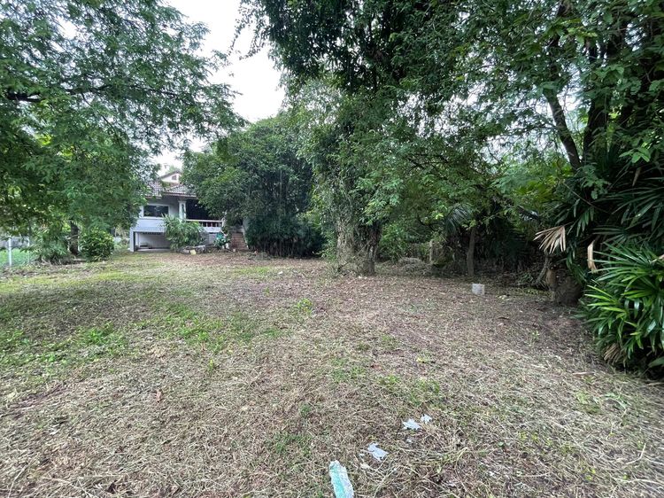 ใช่ 💖 บ้าน สารภี ราคาพิเศษ! 💖 รูปที่ 3