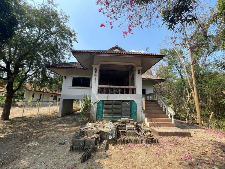 ใช่ 💖 บ้าน สารภี ราคาพิเศษ! 💖 รูปที่ 2