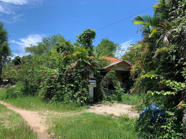 ใช่ 💖 บ้าน ฝาง ราคาพิเศษ! 💖