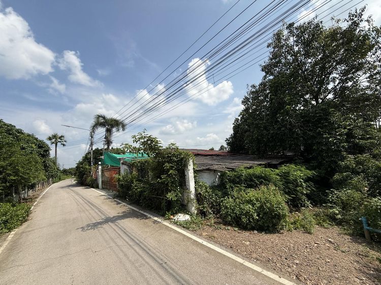 ใช่ 💖 บ้าน สันป่าตอง ราคาพิเศษ! 💖 รูปที่ 4