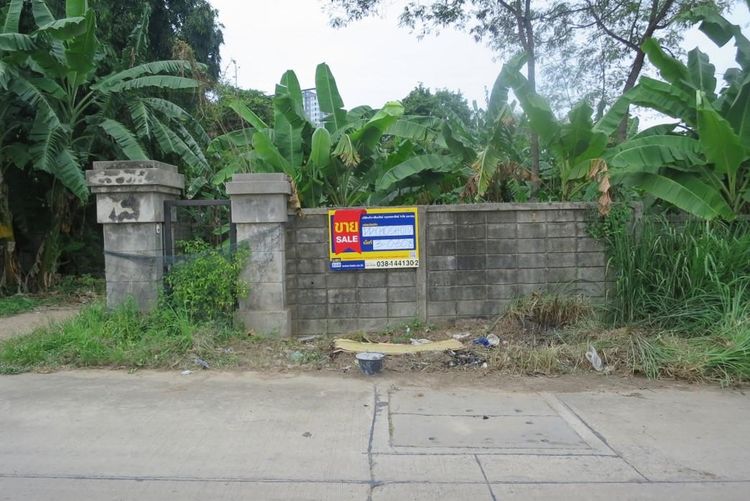 💖 บ้าน ศรีราชา ราคาพิเศษ! 💖