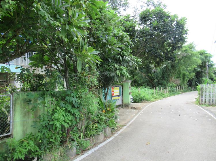 ใช่ 💖 บ้าน เมืองลำปาง ราคาพิเศษ! 💖 รูปที่ 2